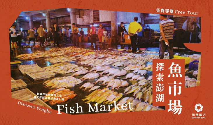 免費導覽｜探索澎湖魚市場