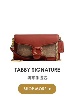 TABBY SIGNATURE 帆布手腕包