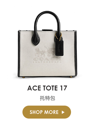 ACE TOTE 17托特包