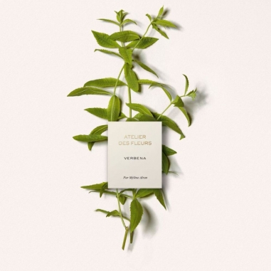Chloé Atelier des Fleurs Verbena Eau de Parfum蔻依仙境花園系列香氛-迷霧馬鞭草