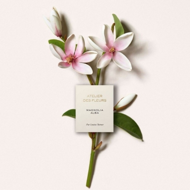 Chloé Atelier des Fleurs Magnolia Alba Eau de Parfum蔻依仙境花園系列香氛-木蘭詩語