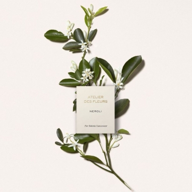 Chloé Atelier des Fleurs Nroli Eau de Parfum蔻依仙境花園系列香氛-橙花之舞
