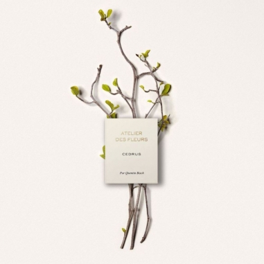 Chloé Atelier des Fleurs Cedrus Eau de Parfum蔻依仙境花園系列香氛-北國雪松