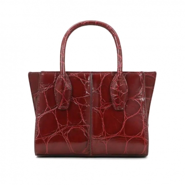 TOD'STOD'S HOLLY BAG手拿包
