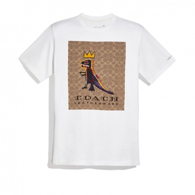 Coach蔻馳(精品) TSHIRT 男性T恤