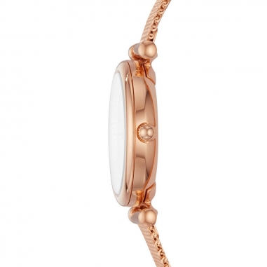 CARLIE MINIFOSSIL Carlie Mini 小卡莉甜美石英女錶 玫瑰金不鏽鋼鍊帶