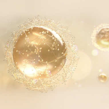 ABEILLE ROYALE LOTION皇家蜂王乳蜜露