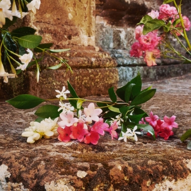 BLOOM EAU DE TOILETTE花悅女士淡香水