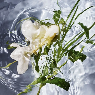 AQUA ALLEGORIA HERBA FRESCA EDT晨曦草露淡香水