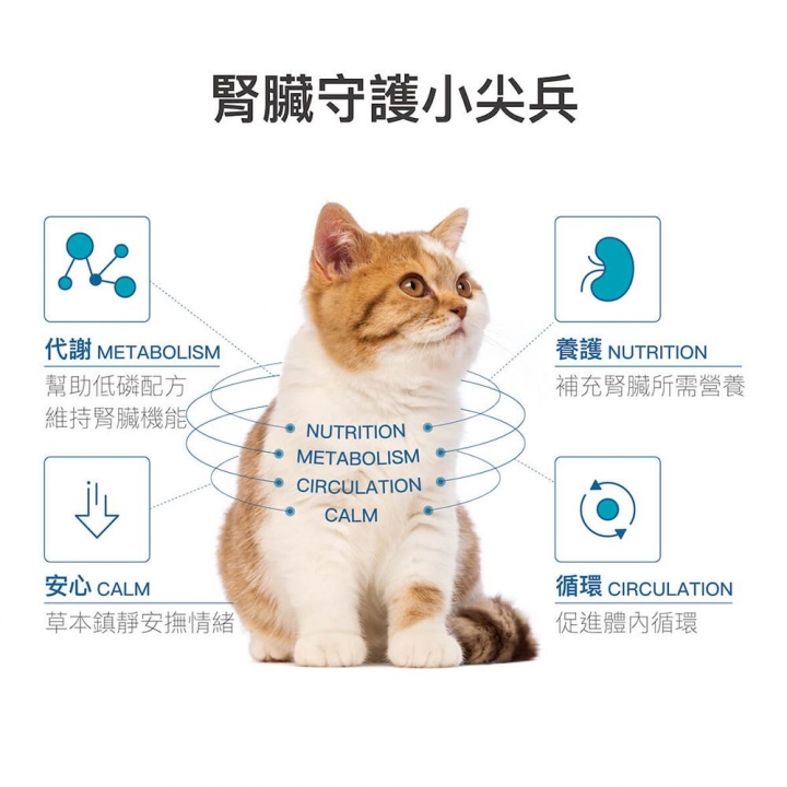  寵物保健 貓咪保腎利60顆營養錠