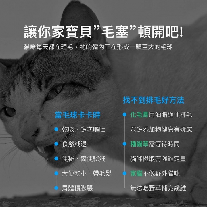  寵物保健 貓咪排毛粉15包(多款可選)