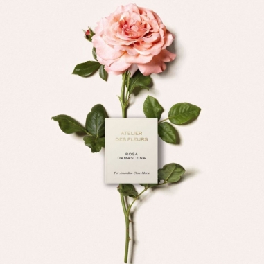 Chloé Atelier des Fleurs Rosa Damascena Eau de Parfum蔻依仙境花園系列香氛-大馬士革玫瑰
