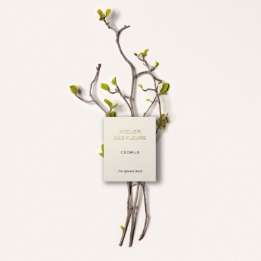 Chloé Atelier des Fleurs Cedrus Eau de Parfum蔻依仙境花園系列香氛-北國雪松