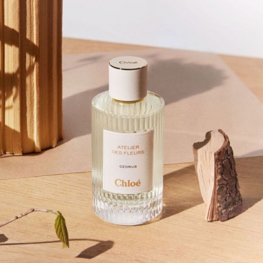 Chloé Atelier des Fleurs Cedrus Eau de Parfum蔻依仙境花園系列香氛-北國雪松
