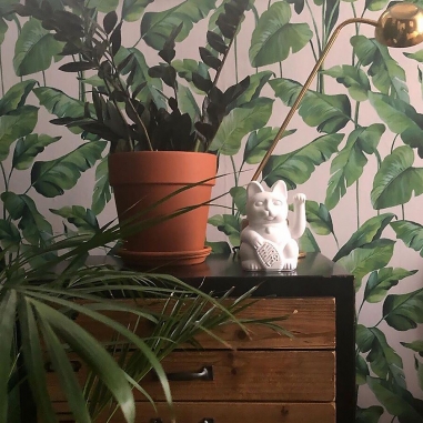 LUCKY CAT 招財貓_白(經典款)LUCKY CAT|德國DONKEY 幸運繽紛招財貓 經典白