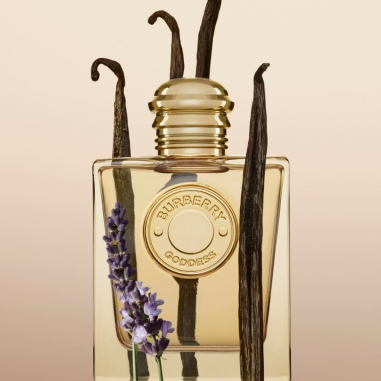 BURBERRY Goddess Eau de Parfum for Women博柏利 Goddess 女性淡香精