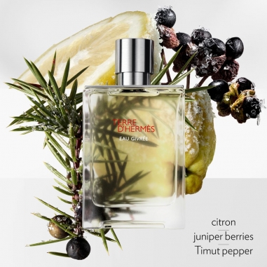 Terre d’Hermès Eau Givrée, Eau de Parfum愛馬仕大地冷冽之水 淡香精