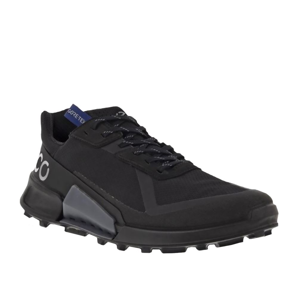 ECCO BIOM 2.1 X CTRY M 低 GTX運動鞋
