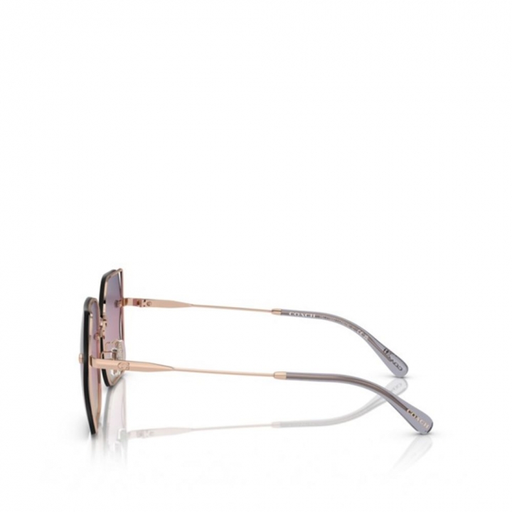 Coach - 太陽眼鏡_71115-216717_大圖