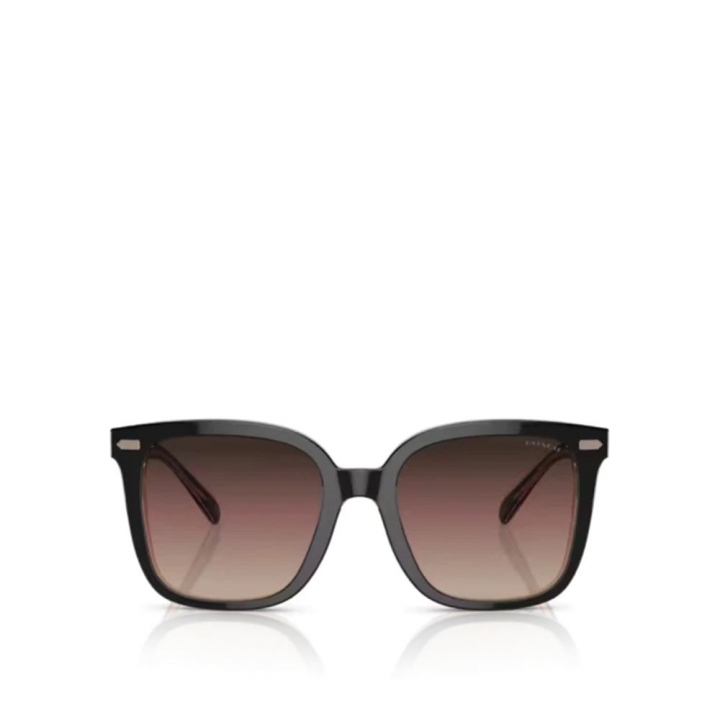 Coach - 太陽眼鏡_71217-216732_大圖