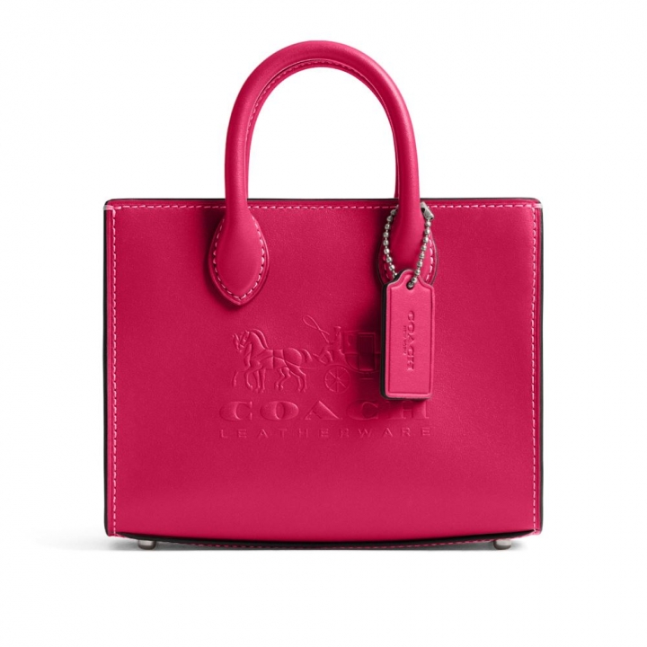 Coach - ACE TOTE 17托特包_73961-219950_大圖