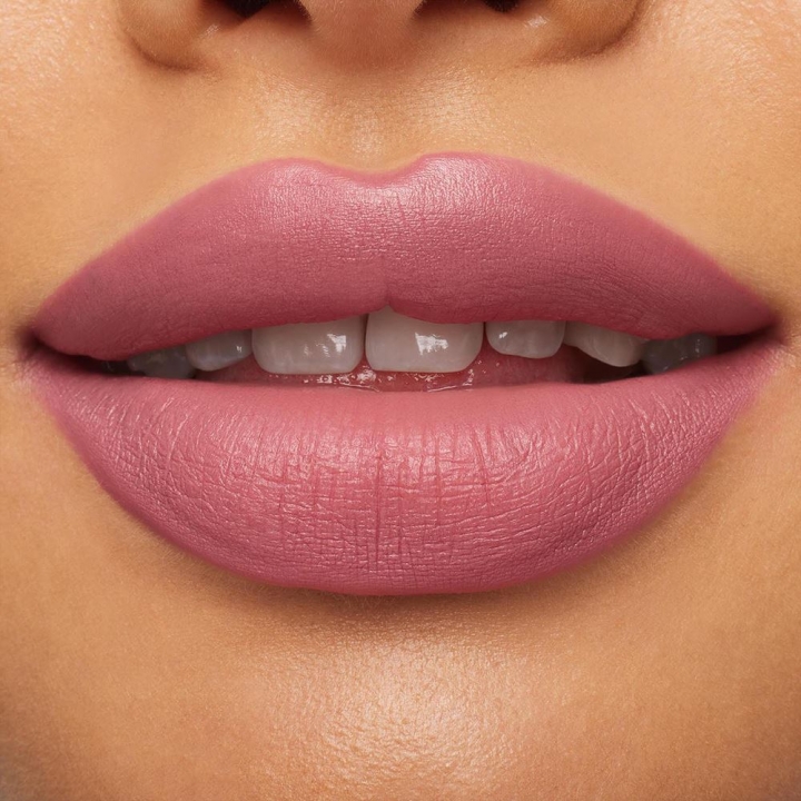 MAC Macximal Silky Matte Lipstick YOU WOULDN T GET ITMACXIMAL絲滑霧光唇膏