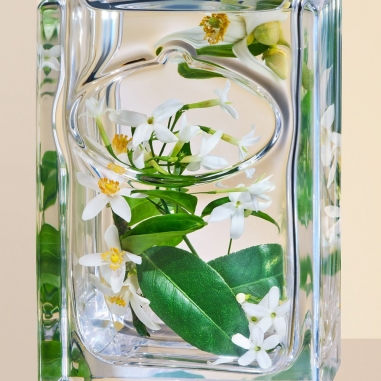 Prada Infusion Fleur D oranger EDP 100ml普拉達 水印 淺醉橙花香水 100ml