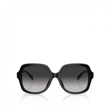 Sunglasses太陽眼鏡