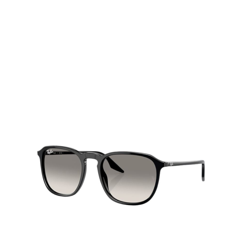 RayBan 太陽眼鏡