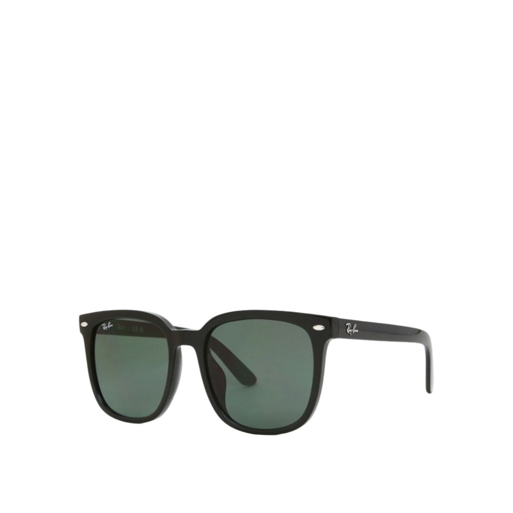 RayBan 太陽眼鏡