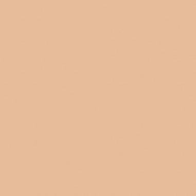 TOUCHE ECLAT GLOW-PACK CUSHION HIGH COVER MESH FOUNDATION REFILL超模光感精華水氣墊