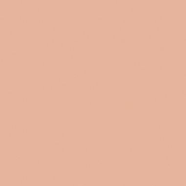 TOUCHE ECLAT GLOW-PACK CUSHION HIGH COVER MESH FOUNDATION REFILL超模光感精華水氣墊