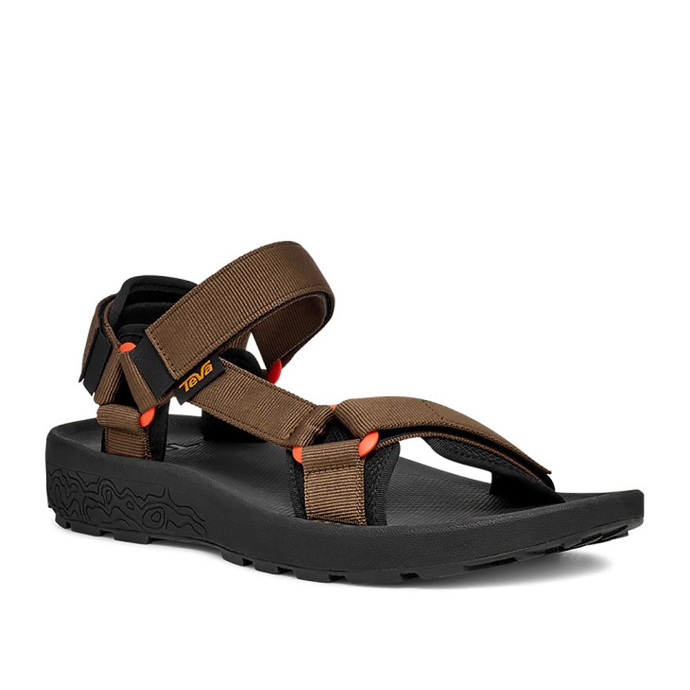 TEVA TEVA｜水陸運動機能涼鞋 HYDRATREK SANDAL 男鞋 沙漠棕櫚