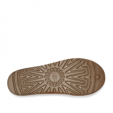 2964543000800UGG｜Women's Tasman 穆勒鞋休閒女鞋 栗子棕