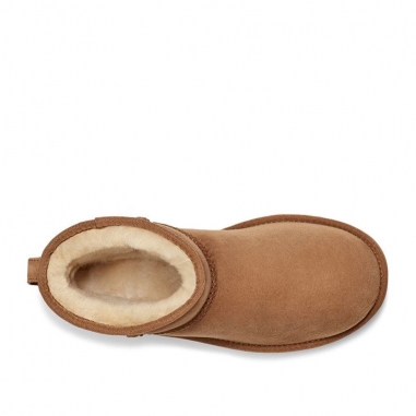 2964543000950UGG|Women's Classic Mini II 防潑水輕量雪靴 栗子棕