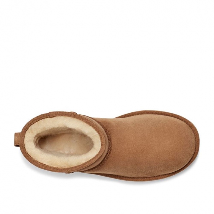UGG｜Women's Classic Mini II 防潑水輕量雪靴 栗子棕UGG｜Women's Classic Mini II 防潑水輕量雪靴 栗子棕