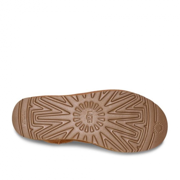 UGG｜Women's Classic Mini II 防潑水輕量雪靴 栗子棕UGG｜Women's Classic Mini II 防潑水輕量雪靴 栗子棕