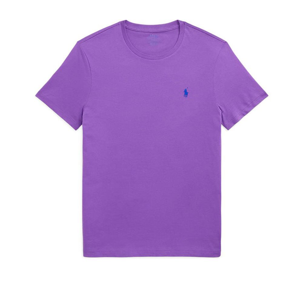 POLO RALPH LAUREN 男性T恤