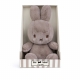 BON TON TOYS - 荷蘭 BON TON TOYS｜Miffy米菲兔恬柔盒裝填充玩偶-灰褐 23cm80940-251278_縮圖