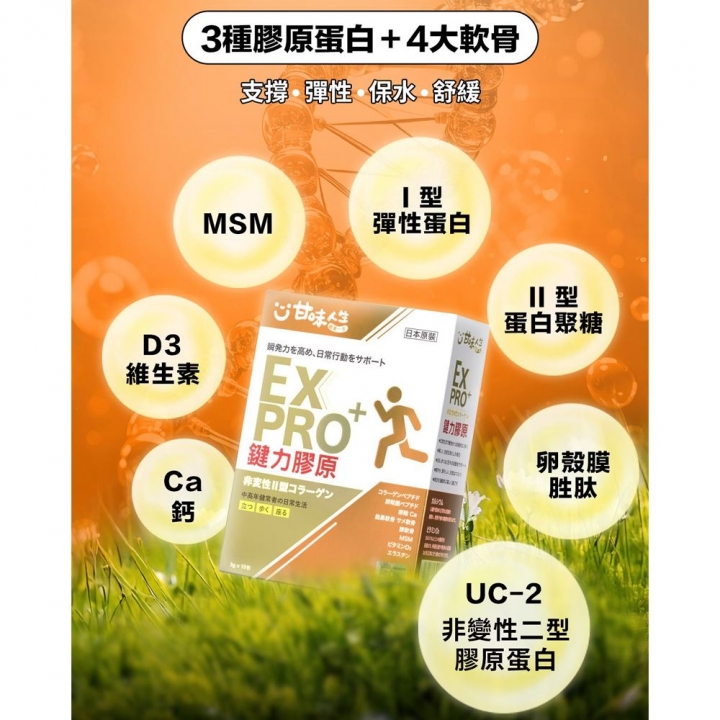 甘味人生｜鍵力膠原EX PRO 日本原裝非變性二型膠原蛋白