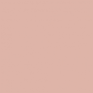 ARCHITECTURE SOFT MATTE CUSHION 2.0 BUFF RefillTOM FORD 立體光影柔霧氣墊粉餅（替換芯）