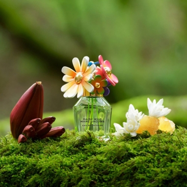 Daisy Wild - Eau so Intense - EDP - 100ml Refillable莫傑綠野仙蹤馥郁香水(雛菊造型系列)100ML