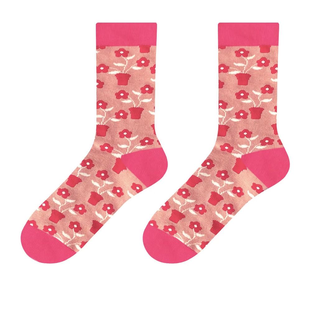 錦源興 錦源興｜臺灣設計製造 Cosi 聯名鐵窗花無痕中長襪