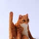 JINART - JXK Studio 1/6 比例動物系列 懶貓4.0 (附沙發) 橘貓79838-256662_縮圖