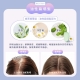 DIKE - DIKE 等離子溫控護髮吹風機 (含支架) HBF210PL 繁星紫【廠商直寄】82129-257140_縮圖