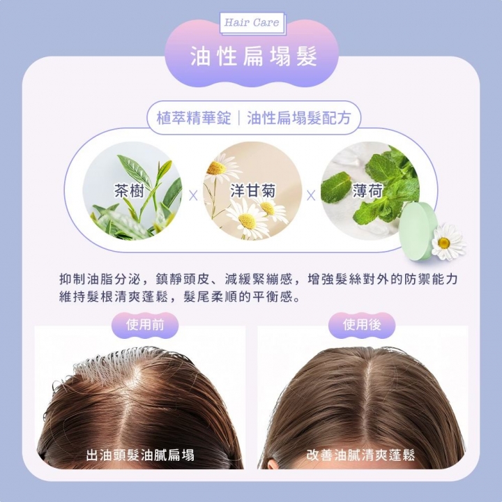 DIKE 等離子溫控護髮吹風機 (含支架) HBF210PL 繁星紫【廠商直寄】