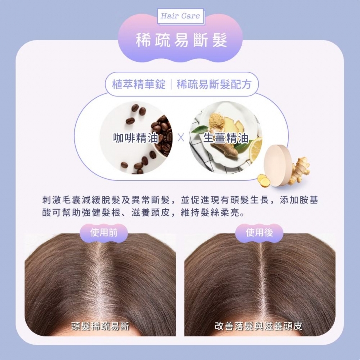 DIKE 等離子溫控護髮吹風機 (含支架) HBF210PL 繁星紫【廠商直寄】