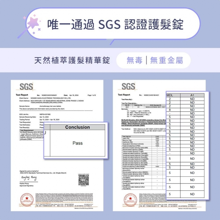 DIKE 等離子溫控護髮吹風機 (含支架) HBF210GY 太空灰【廠商直寄】