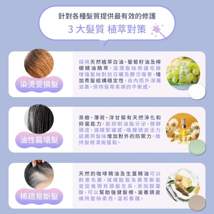 DIKE 等離子溫控護髮吹風機 (含支架) HBF210GY 太空灰【廠商直寄】