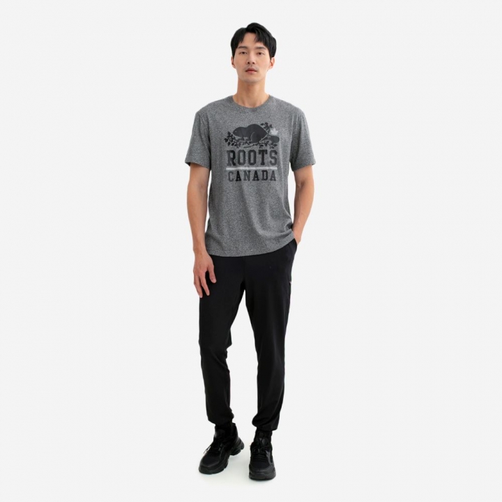 ROOTS CANADA T-SHIRTRoots 男裝-ROOTS CANADA 短袖上衣